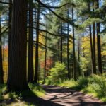 generation2084.ru | Лучшие фильмы в жанре психологический триллер